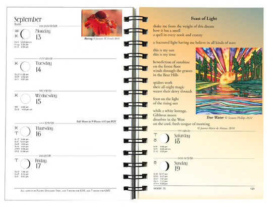 We'Moon Datebook 2027: Moon Calendar & Astrological Planner